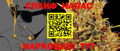 мдпв Ставрополь