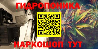 дживик Славгород