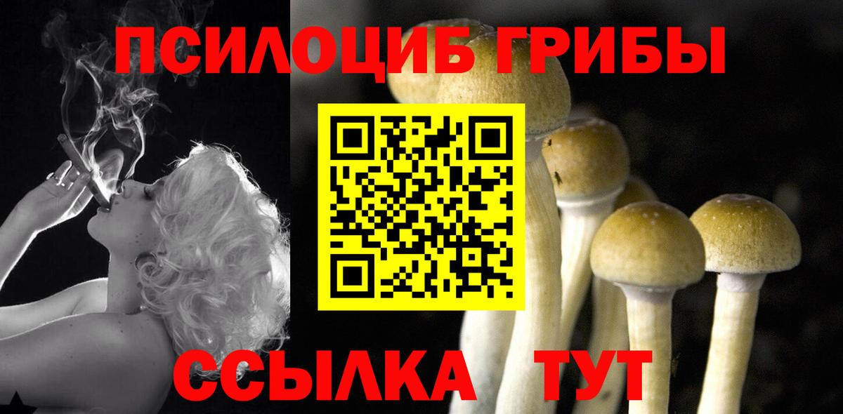 Галлюциногенные грибы Psilocybe  Вход с VPN  Псилоцибиновые грибы мицелий  Сатка 